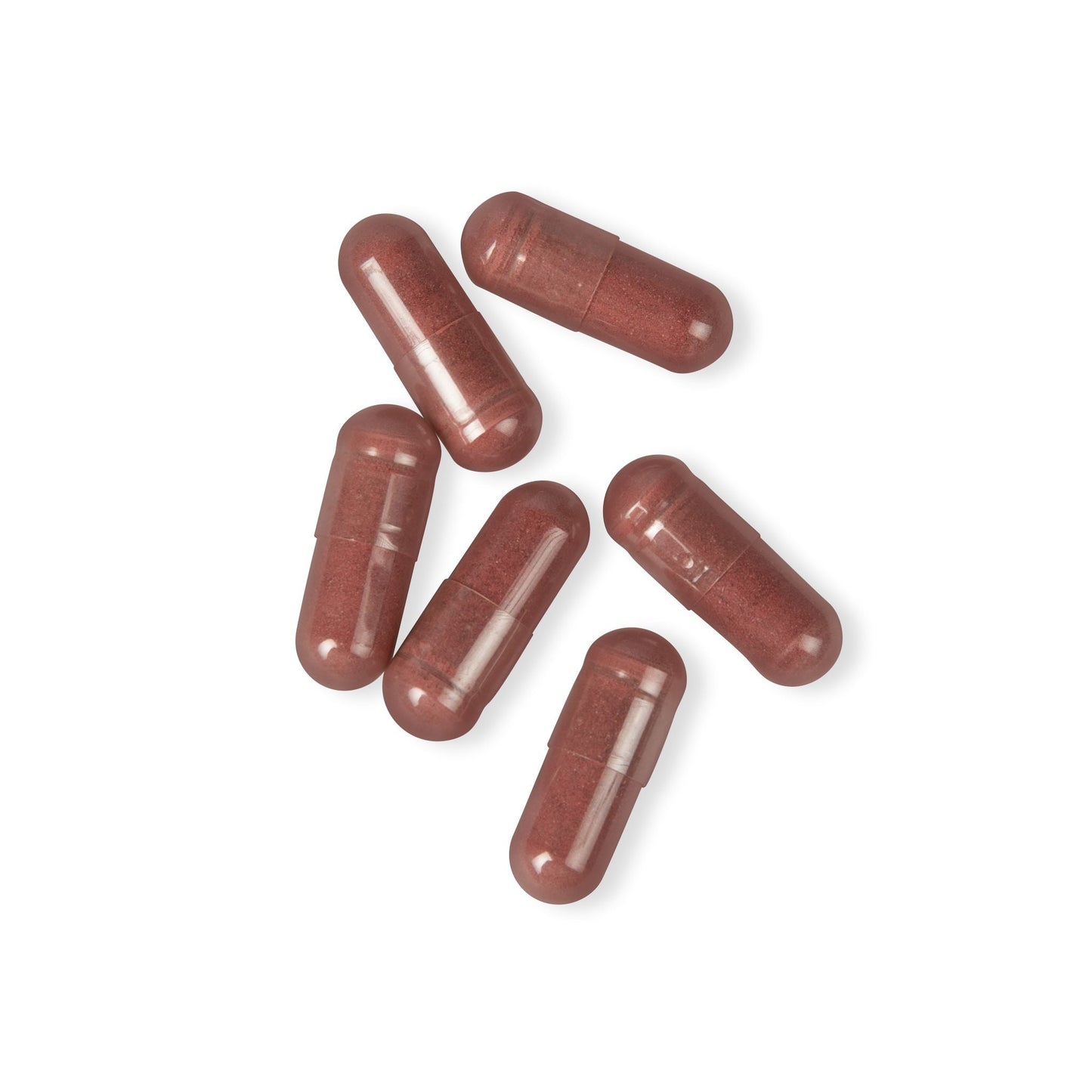 Herbal Turtle: Beet Boost – Organic Beetroot Supplement (60 Capsules, 1300mg per Serving) - TurtleCraft Studio