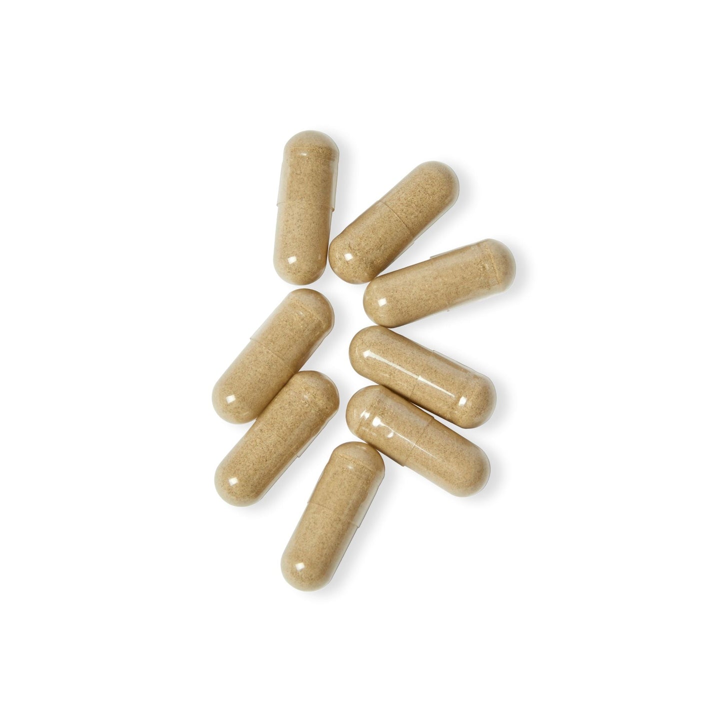 Herbal Turtle: Detox Boost – Acai Berry Complex Supplement (60 Capsules) - TurtleCraft Studio | TurtleCraft Studio