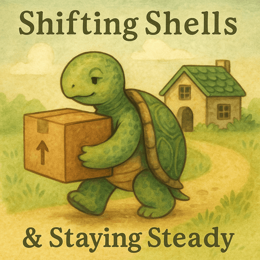 Shifting Shells & Staying Steady - TurtleCraft Studio