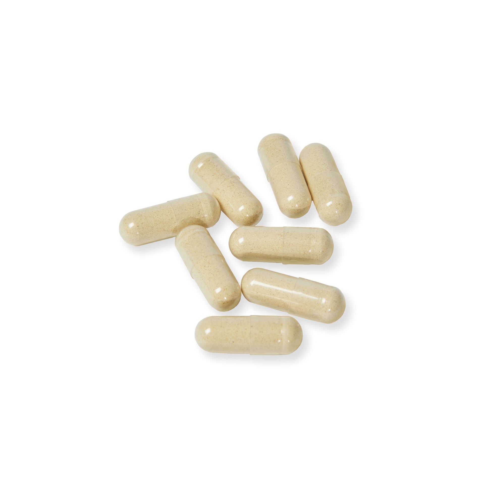 Herbal Turtle: Ashwagandha and Black Pepper Supplement (60 capsules) - TurtleCraft Studio | TurtleCraft Studio