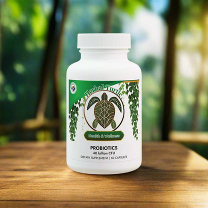 Herbal Turtle: Core Balance Probiotic – 60 Capsules - TurtleCraft Studio | TurtleCraft Studio