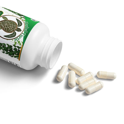 Herbal Turtle: Core Balance Probiotic – 60 Capsules - TurtleCraft Studio | TurtleCraft Studio