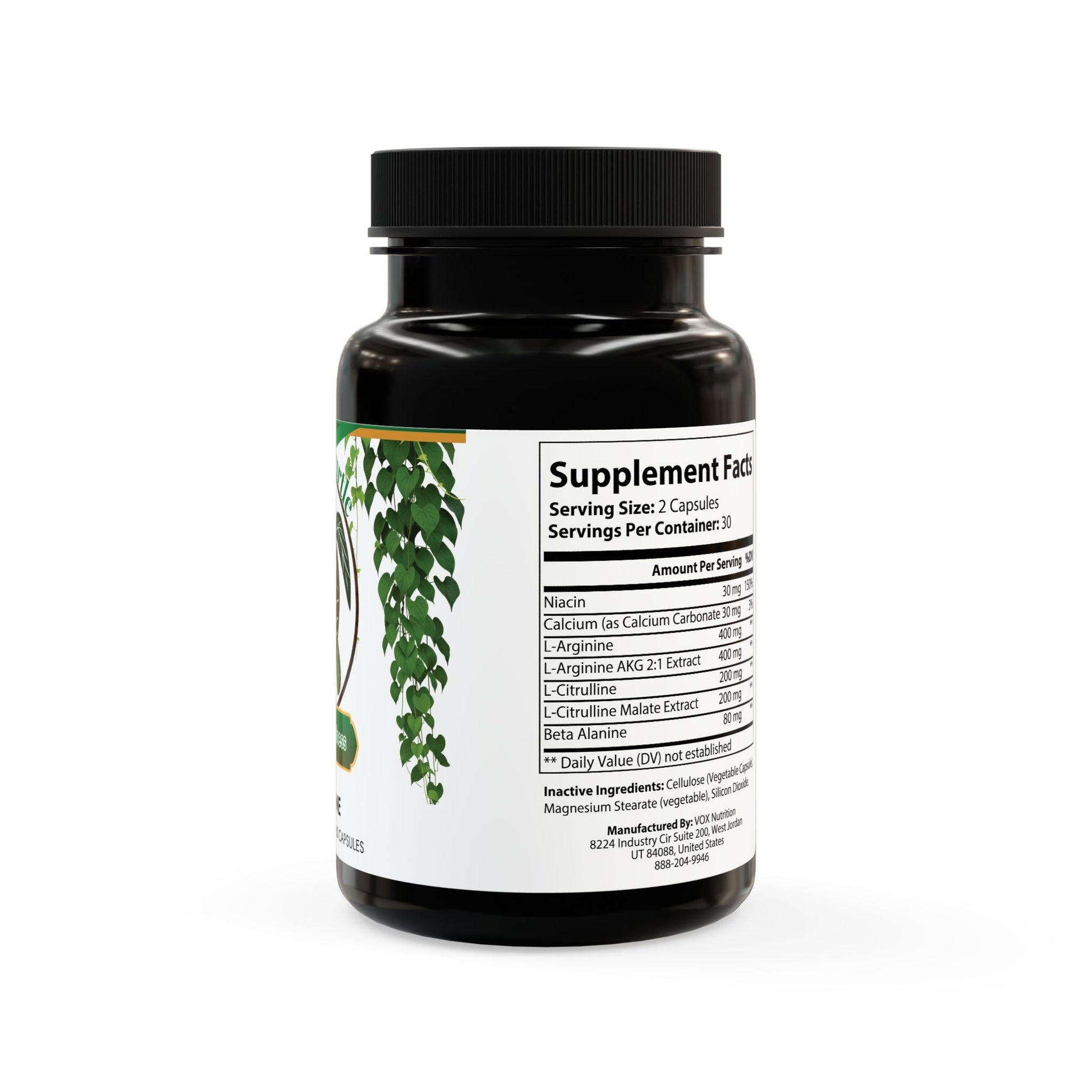 Herbal Turtle: Nitro Flow – L - Arginine Supplement (60 Capsules) - TurtleCraft Studio | TurtleCraft Studio