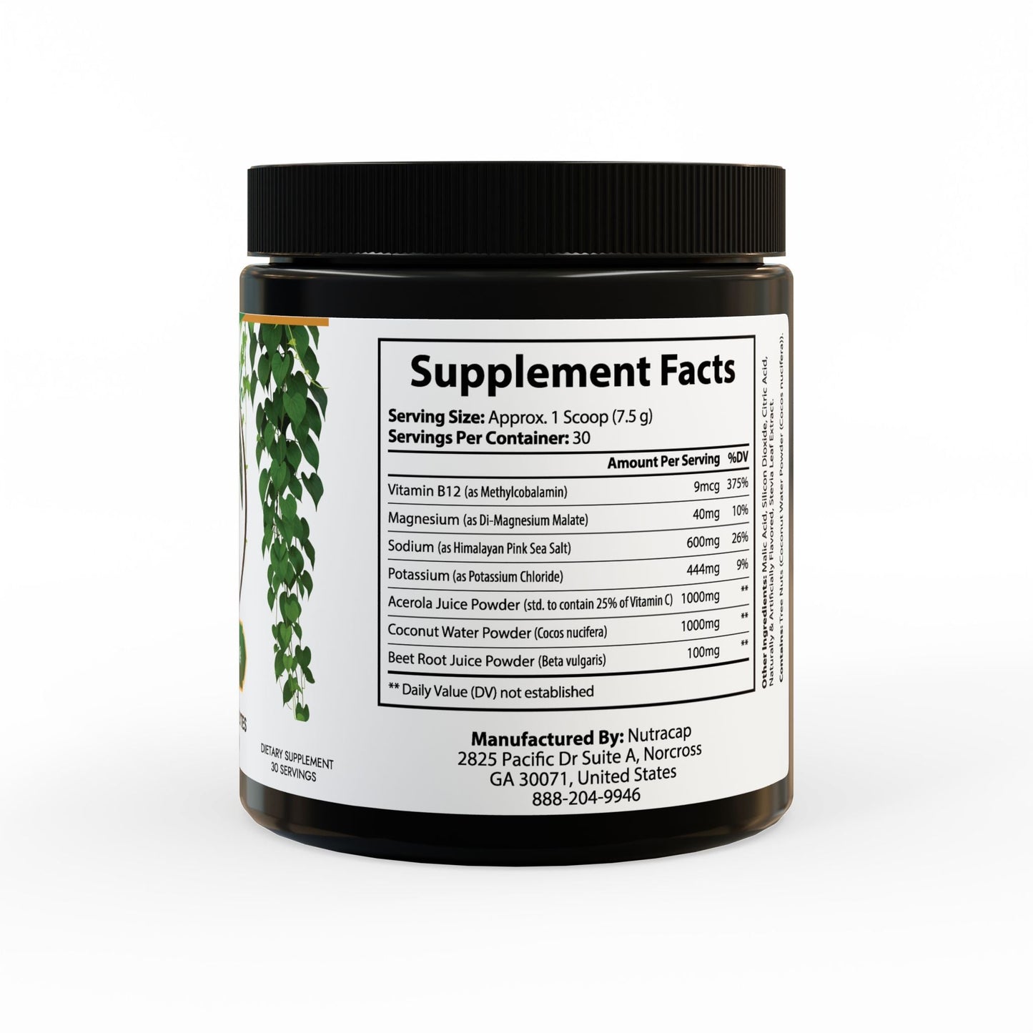 Herbal Turtle: Ocean Current Electrolyte Supplement – 7.9oz (225g) - TurtleCraft Studio | TurtleCraft Studio