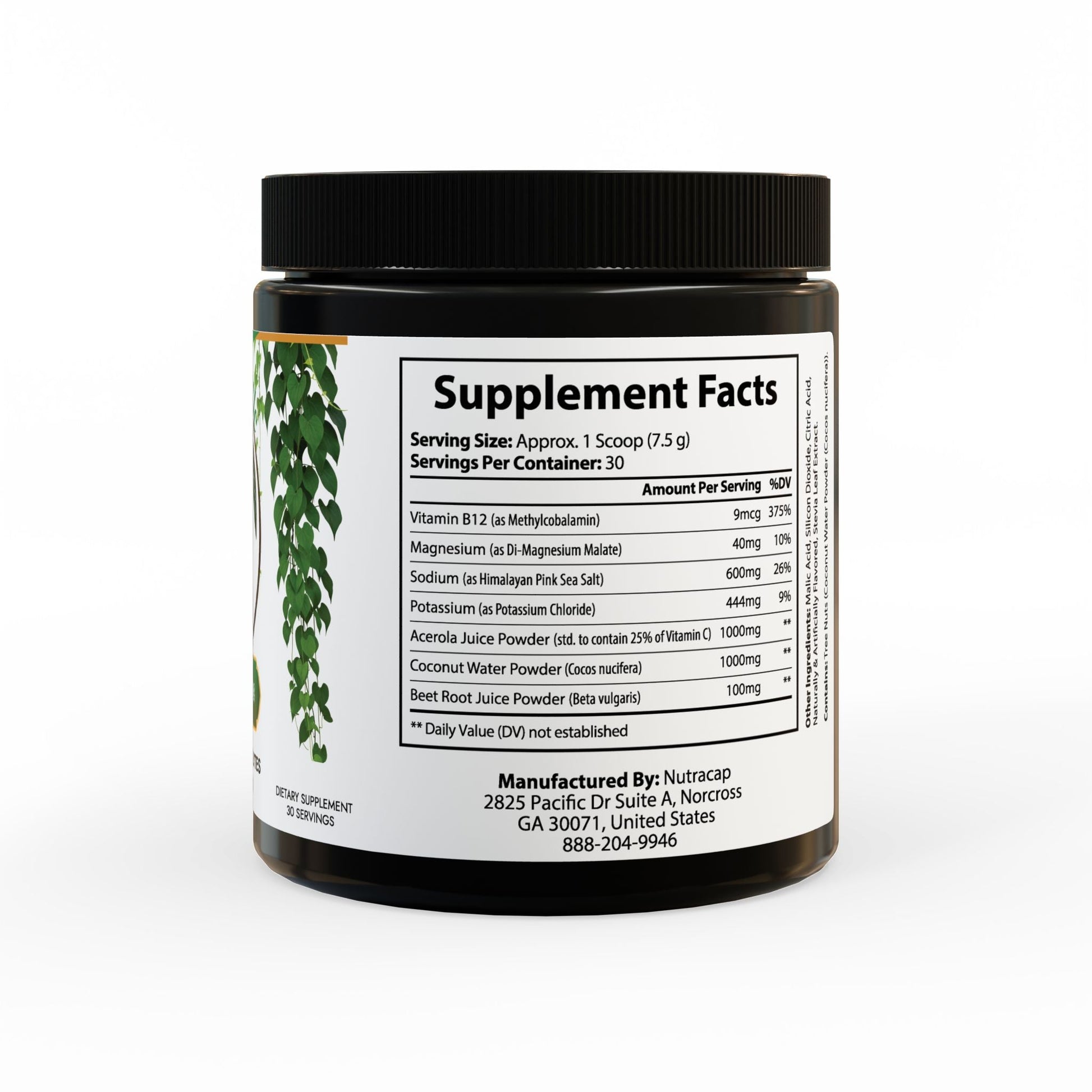 Herbal Turtle: Ocean Current Electrolyte Supplement – 7.9oz (225g) - TurtleCraft Studio | TurtleCraft Studio