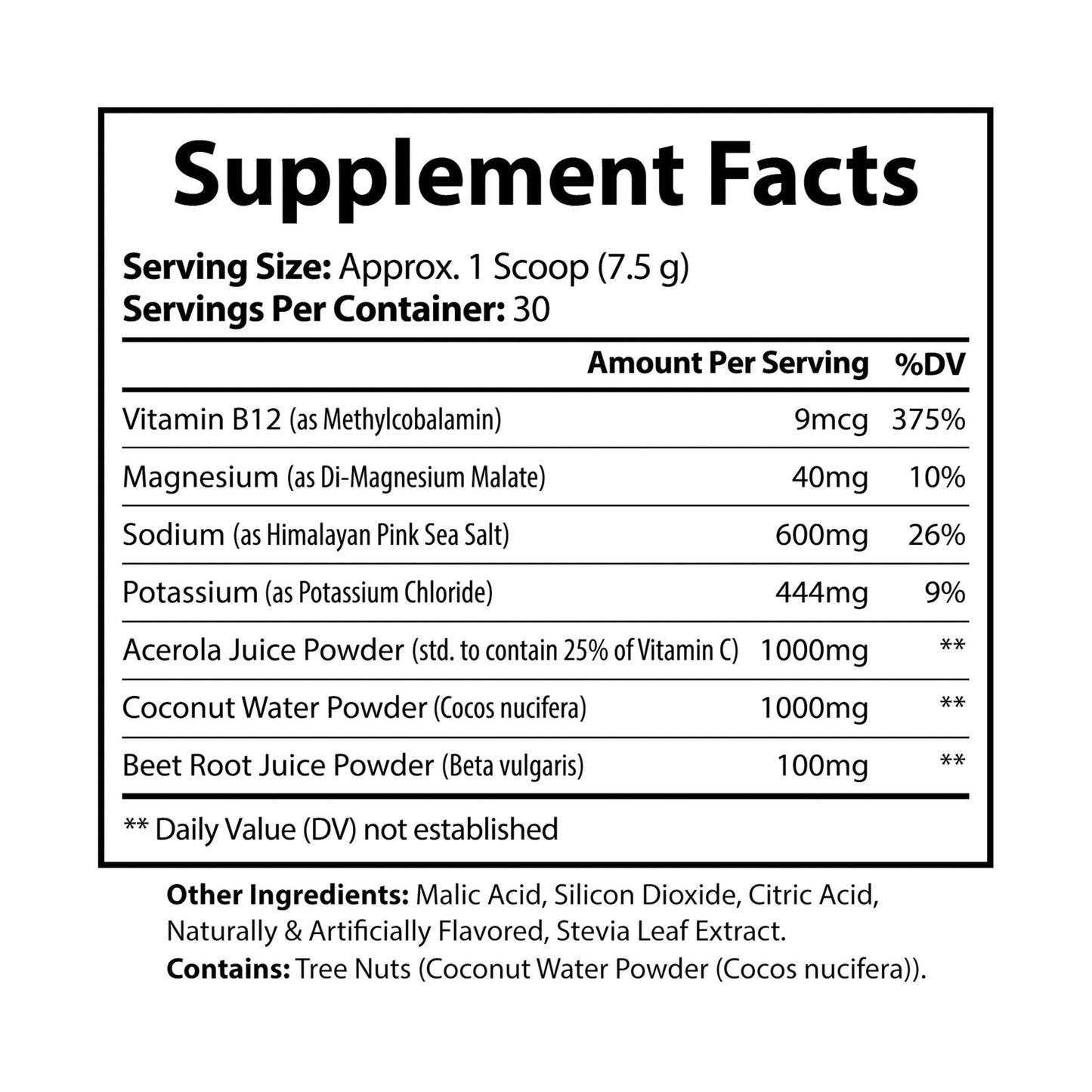Herbal Turtle: Ocean Current Electrolyte Supplement – 7.9oz (225g) - TurtleCraft Studio | TurtleCraft Studio