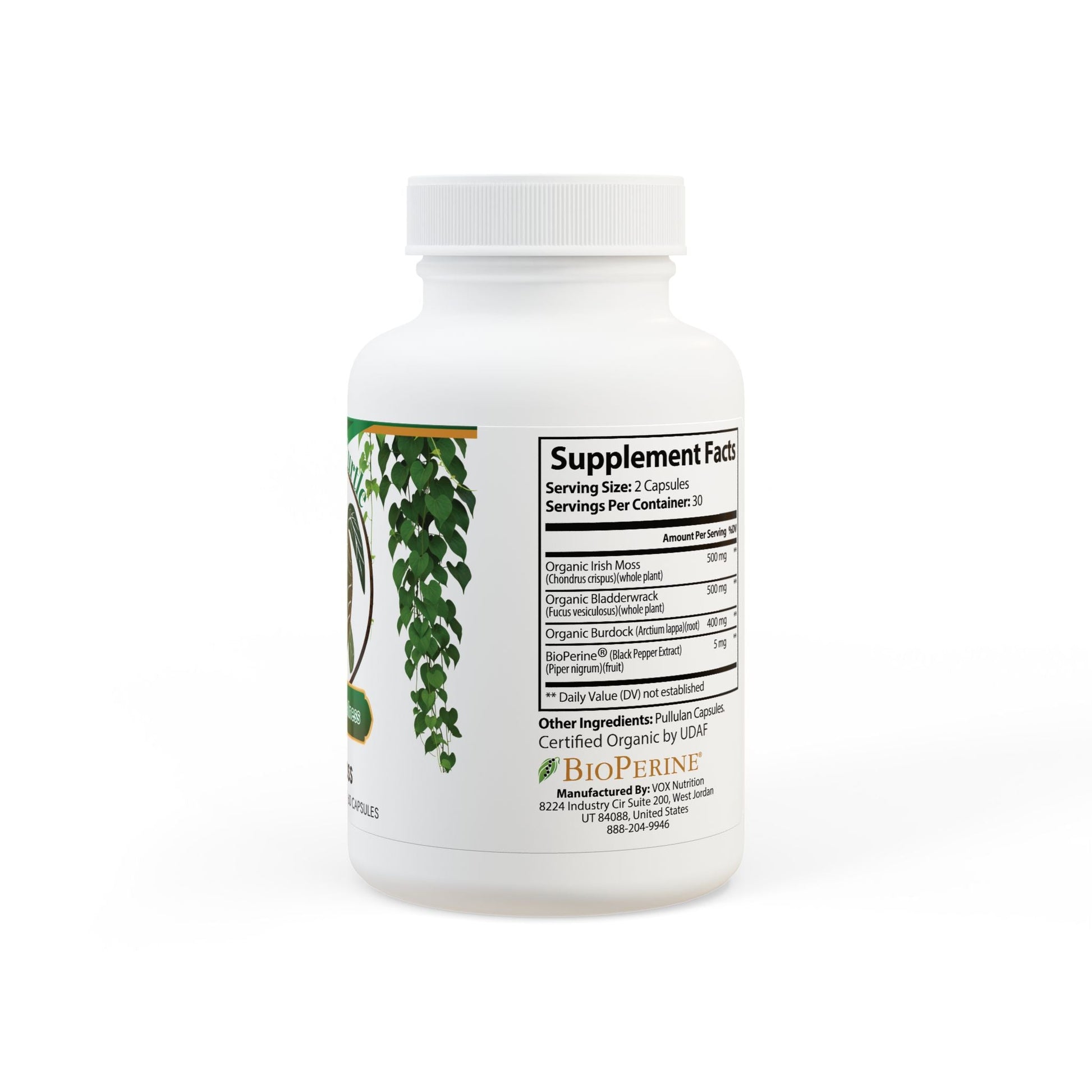 Herbal Turtle: Ocean Essence Sea Moss Complex – 60 Capsules - TurtleCraft Studio | TurtleCraft Studio