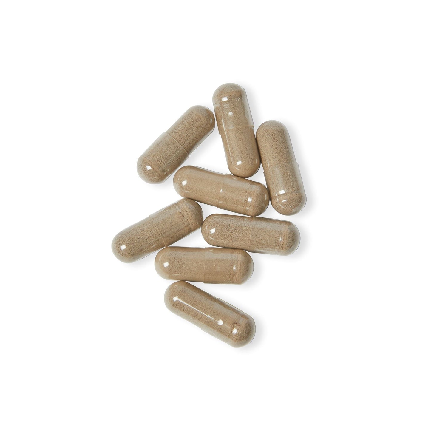 Herbal Turtle: Ocean Essence Sea Moss Complex – 60 Capsules - TurtleCraft Studio | TurtleCraft Studio