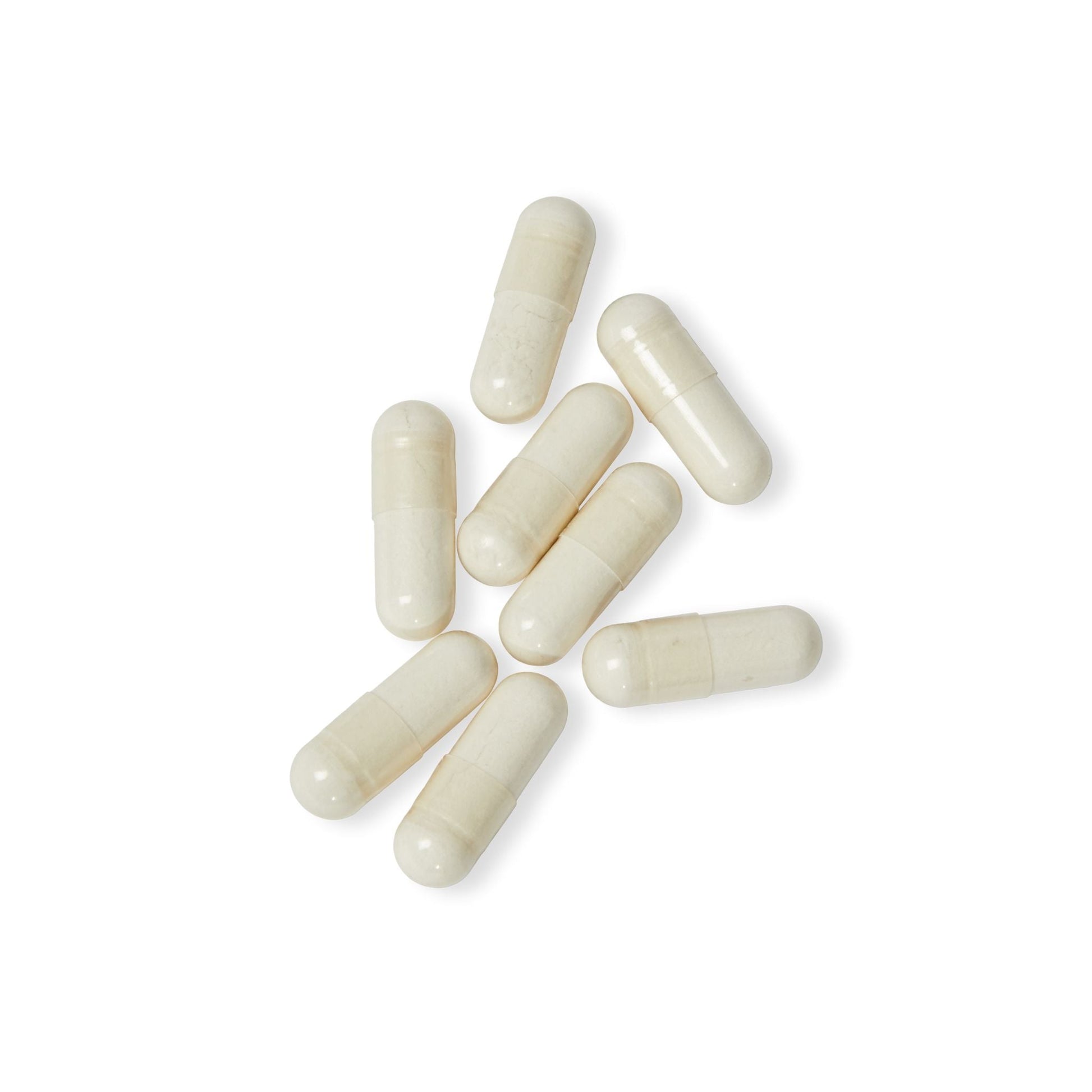 Herbal Turtle: Tranquil Mind – 5 - HTP Supplement (60 Capsules) - TurtleCraft Studio | TurtleCraft Studio