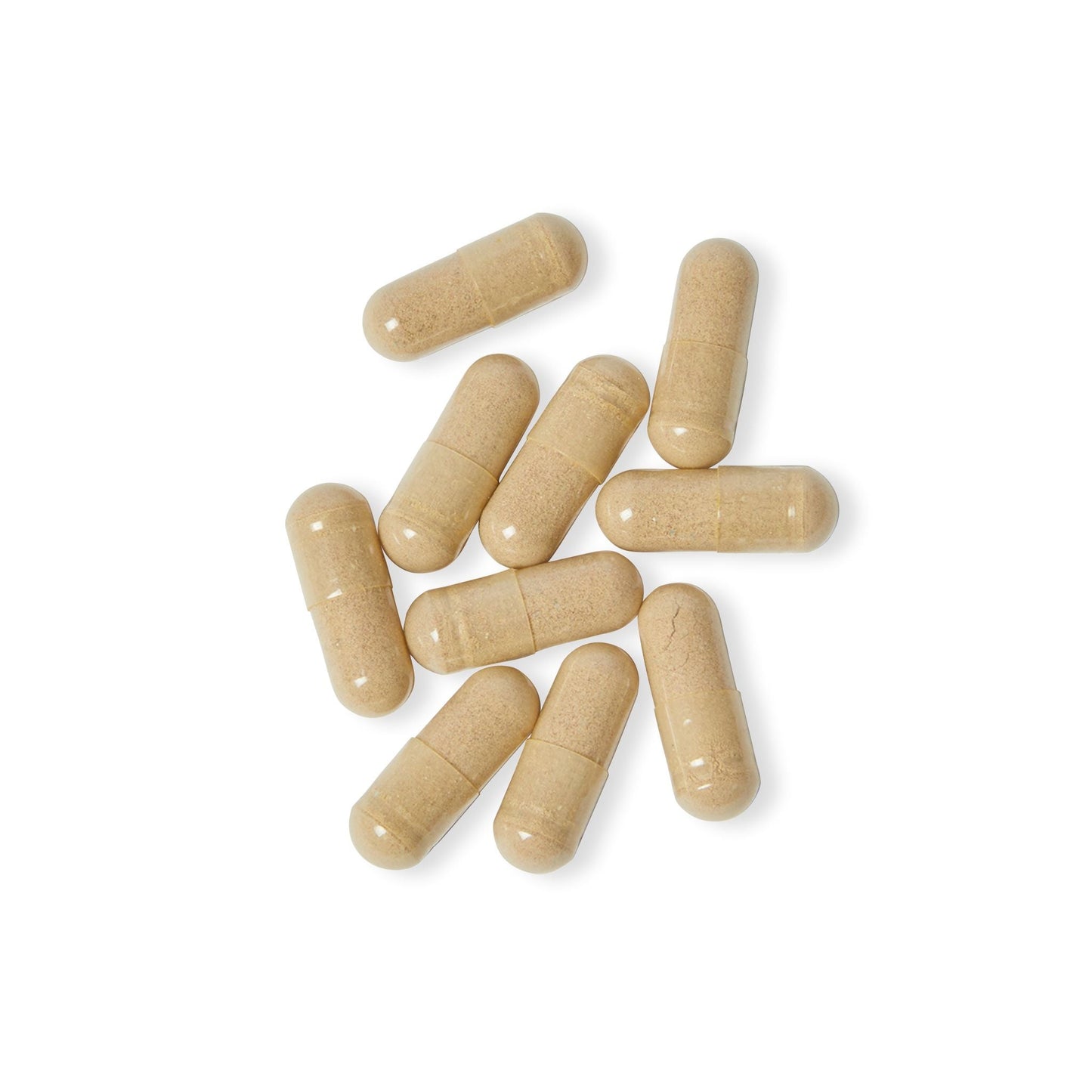 Herbal Turtle: Vital Essence Women’s Multivitamin – 60 Capsules - TurtleCraft Studio | TurtleCraft Studio