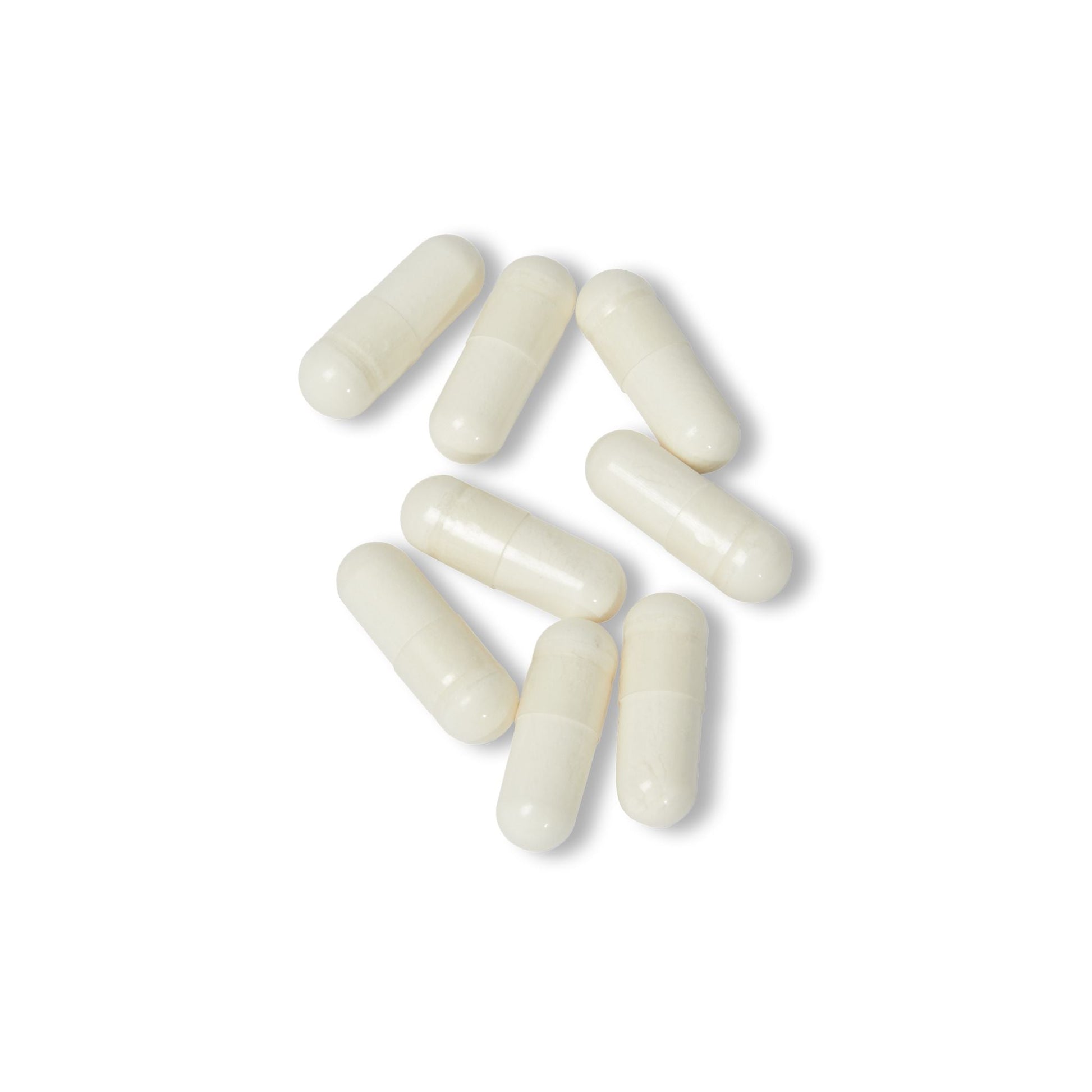 Herbal Turtle: Vital Flow K2 + D3 Supplement – 60 Capsules - TurtleCraft Studio | TurtleCraft Studio