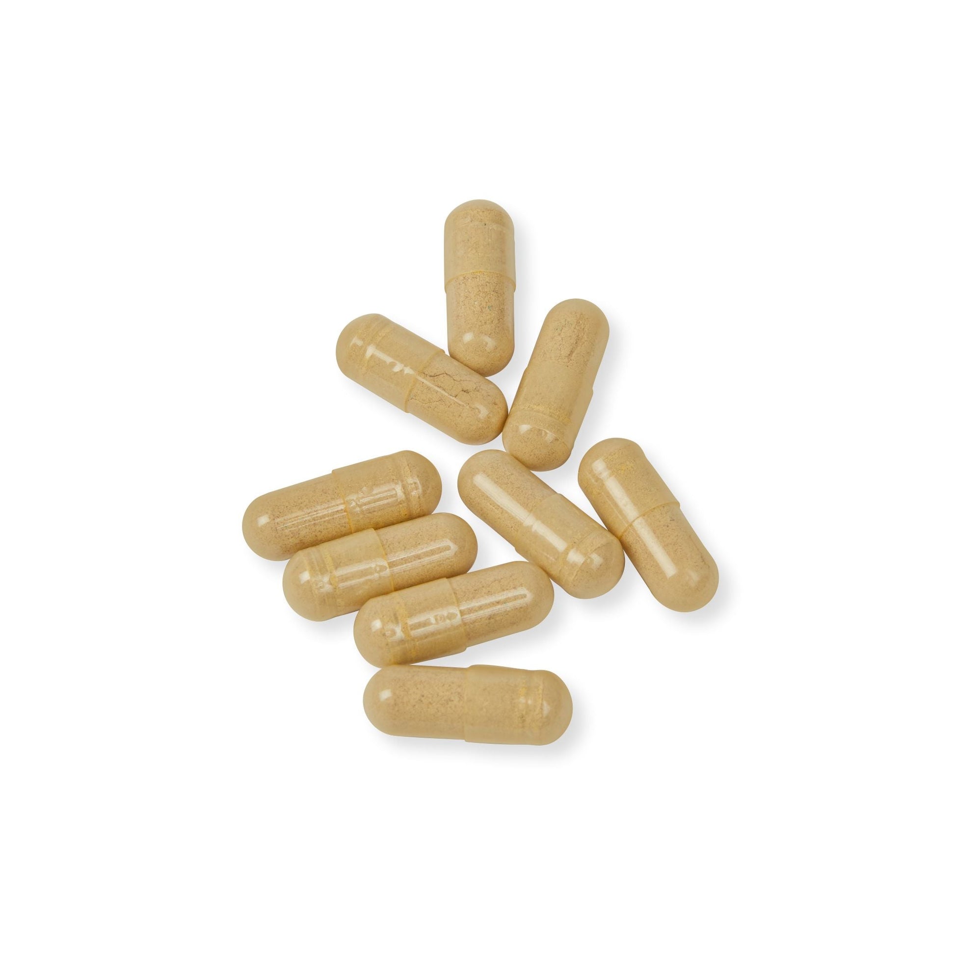 Herbal Turtle: Vital Strength Men’s Multivitamin – 60 Capsules - TurtleCraft Studio | TurtleCraft Studio