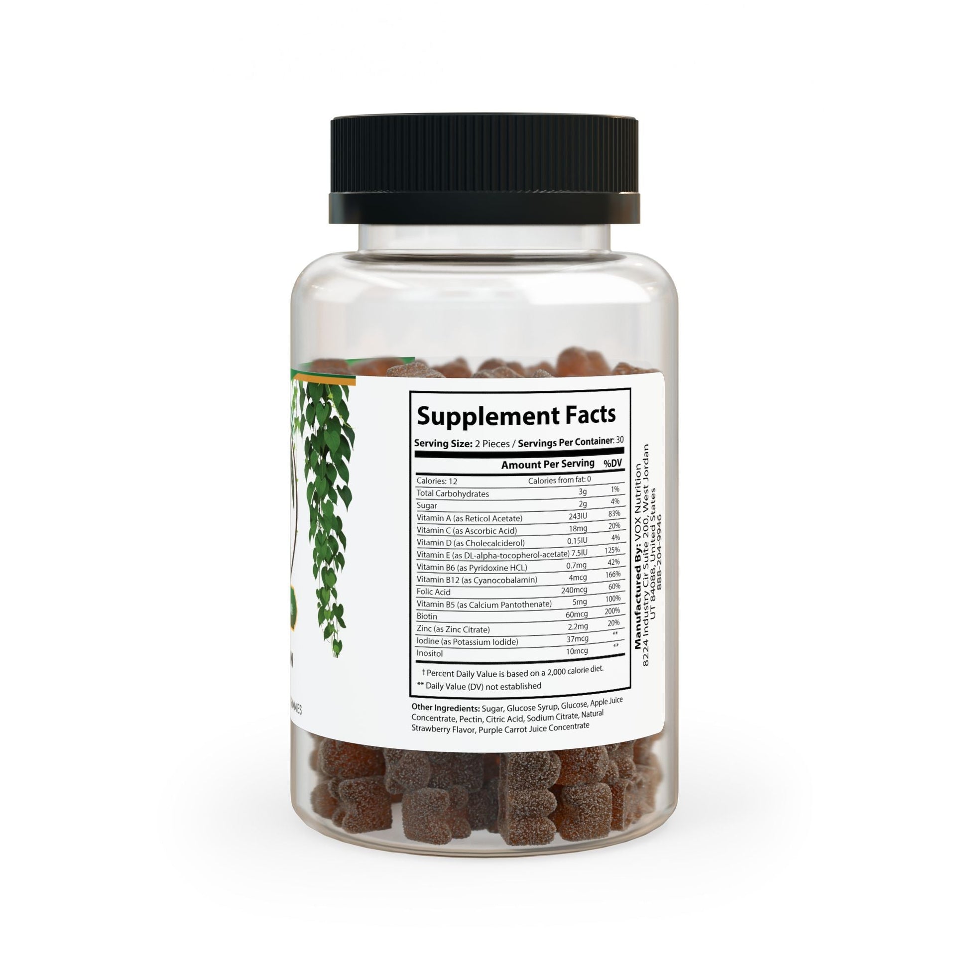 Multivitamin Gummies for Adults (60 Gummies) - TurtleCraft Studio | TurtleCraft Studio